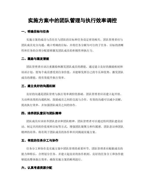 实施方案中的团队管理与执行效率调控