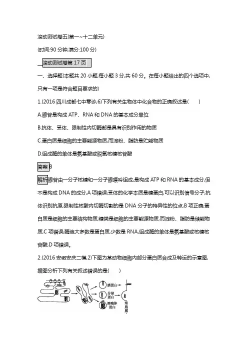 2018届高考生物复习(人教版)：滚动测试卷五 第一--十二单元 含解析