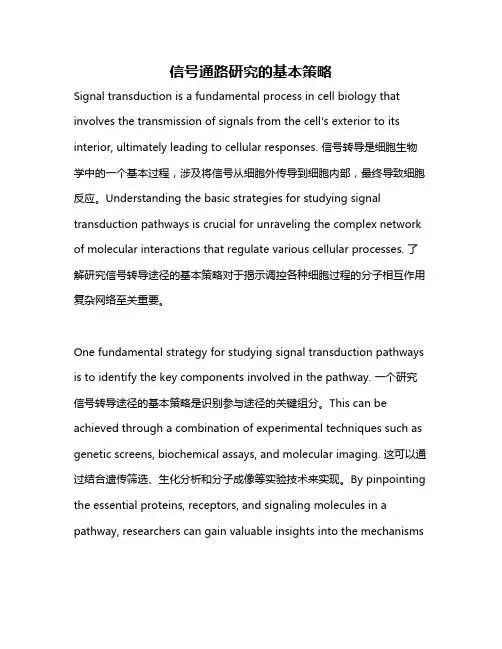 信号通路研究的基本策略