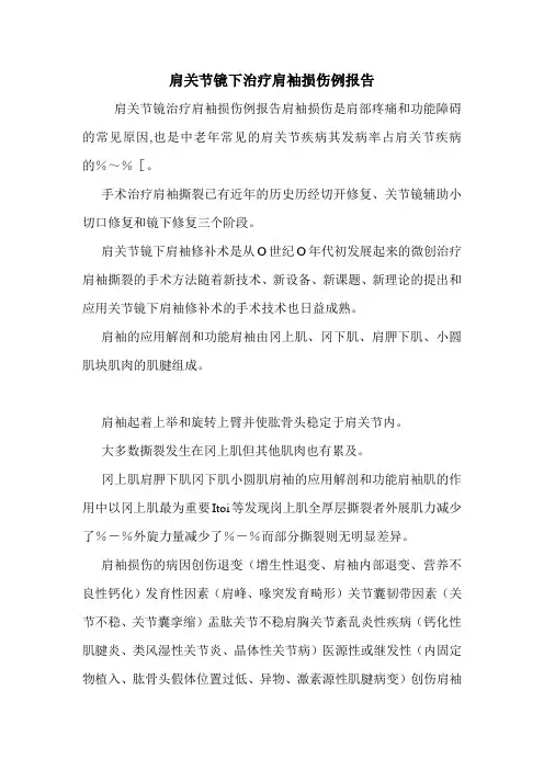 肩关节镜下治疗肩袖损伤例报告