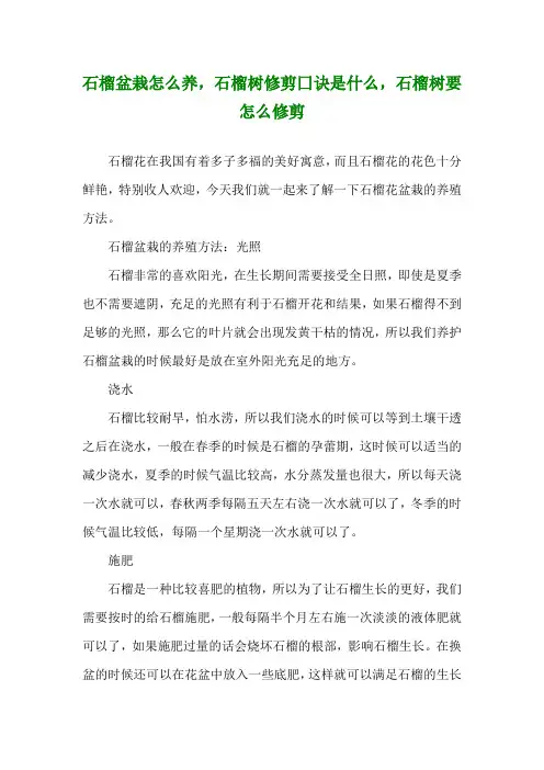 石榴盆栽怎么养,石榴树修剪囗诀是什么,石榴树要怎么修剪