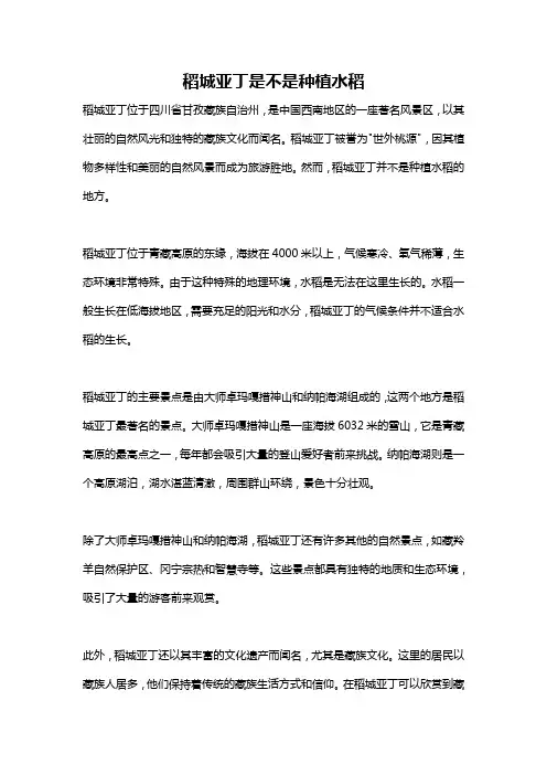 稻城亚丁是不是种植水稻