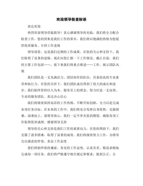 欢迎领导检查标语