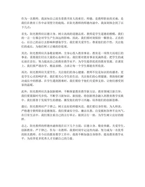阳光教师师德内涵心得体会
