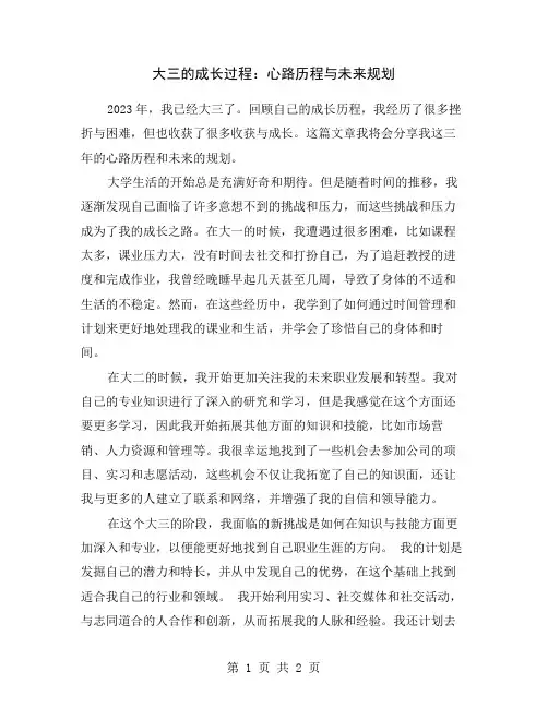 大三的成长过程：心路历程与未来规划