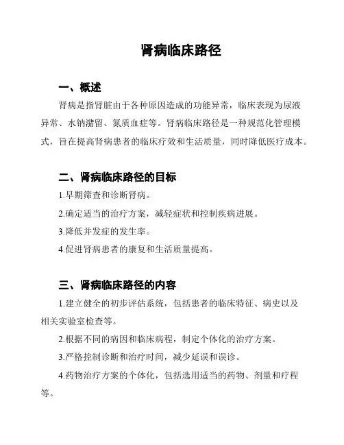 肾病临床路径