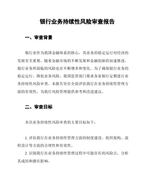 银行业务持续性风险审查报告