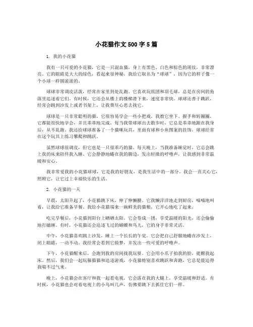 小花猫作文500字5篇