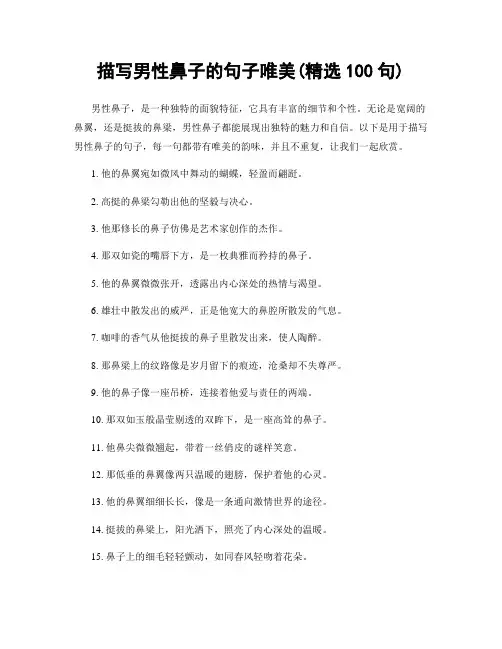 描写男性鼻子的句子唯美(精选100句)
