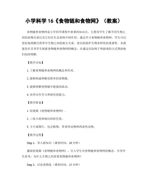 小学科学16《食物链和食物网》(教案)