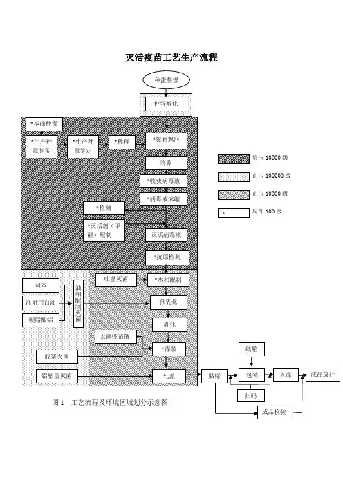 灭活疫苗工艺生产流程