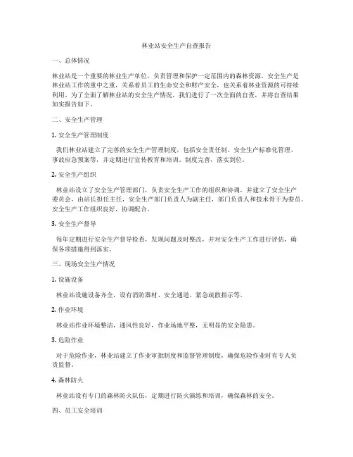 林业站安全生产自查报告