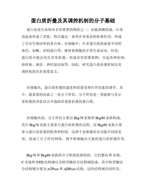 蛋白质折叠及其调控机制的分子基础