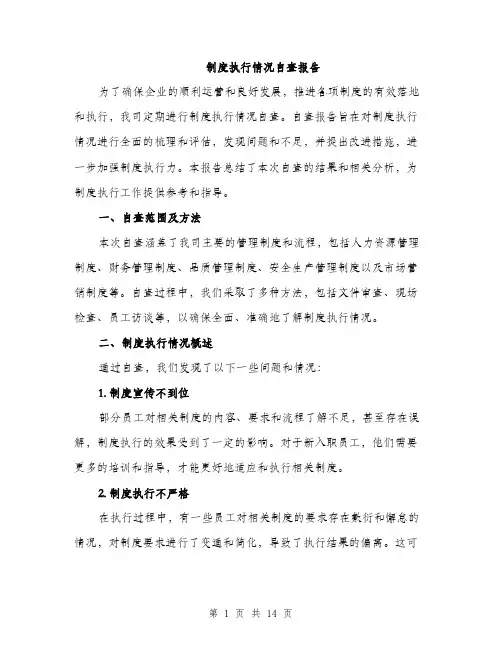 制度执行情况自查报告（4篇）