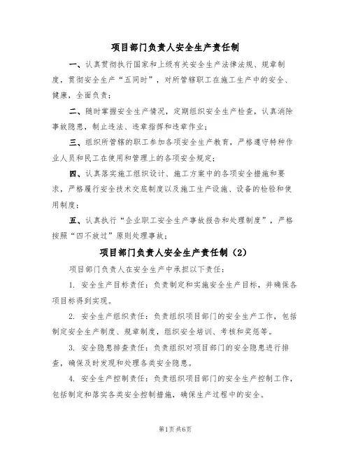 项目部门负责人安全生产责任制(5篇)