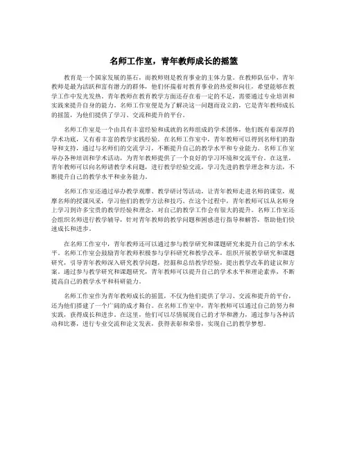名师工作室,青年教师成长的摇篮