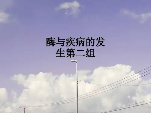 酶与疾病的发生第二组ppt课件