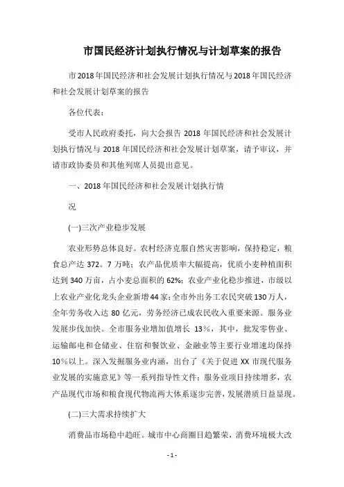 2018市国民经济计划执行情况与计划草案的报告