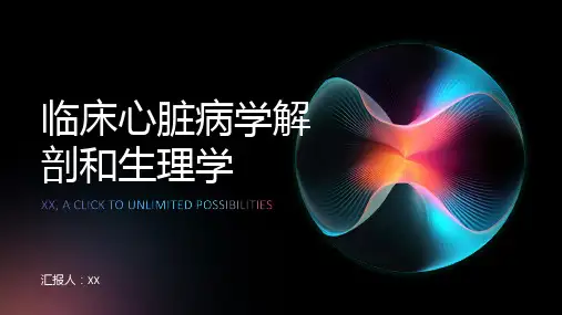 临床心脏病学解剖和生理学