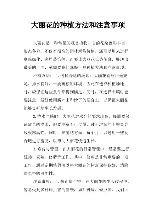 大丽花的种植方法和注意事项
