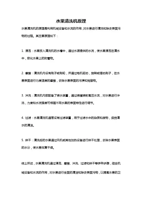 水果清洗机原理