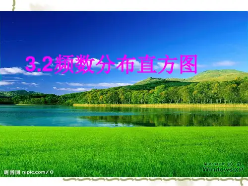 频数分布直方图精选教学PPT课件