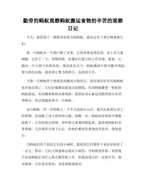 小学三年级作文勤劳的蚂蚁观察蚂蚁搬运食物的辛苦的观察日记
