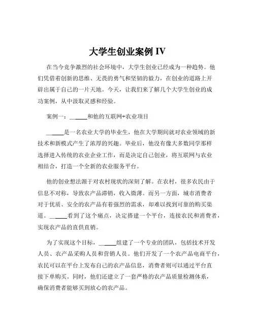 大学生创业案例IV
