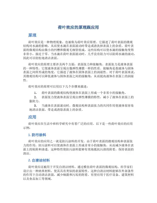 荷叶效应的原理跟应用