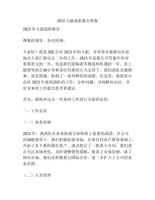2023大副述职报告锦集