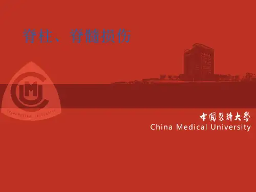 脊柱,脊髓损伤--精品医学课件