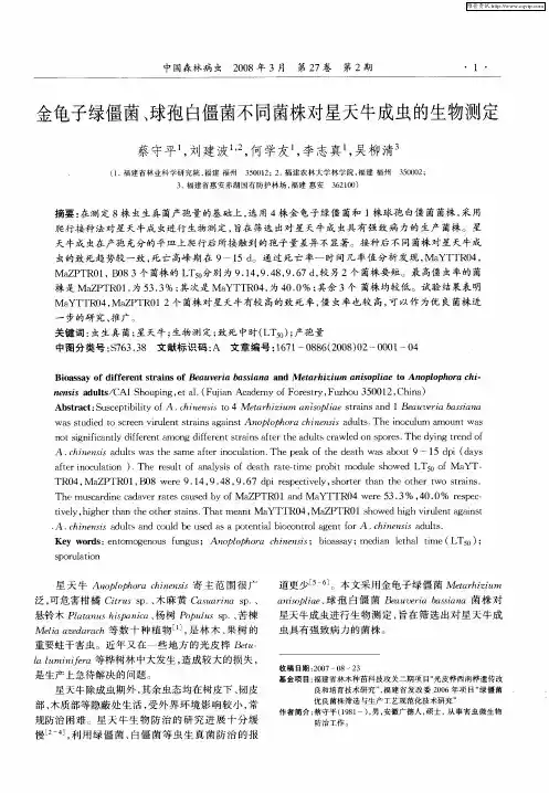 金龟子绿僵菌、球孢白僵菌不同菌株对星天牛成虫的生物测定