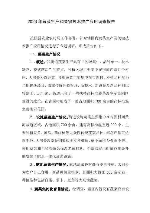 2023年蔬菜生产和关键技术推广应用调查报告