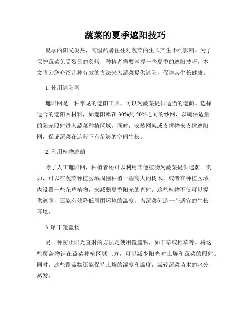 蔬菜的夏季遮阳技巧
