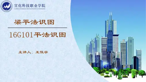 梁平面注写方式—集中标注