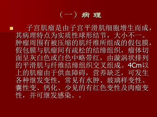 子宫疾患-PPT课件