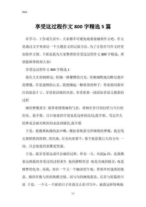 享受这过程作文800字精选5篇