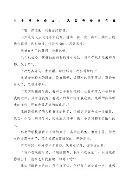 中考满分作文我的青春里有你