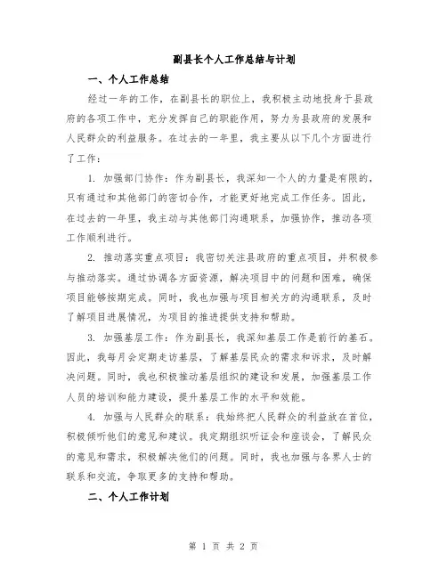 副县长个人工作总结与计划