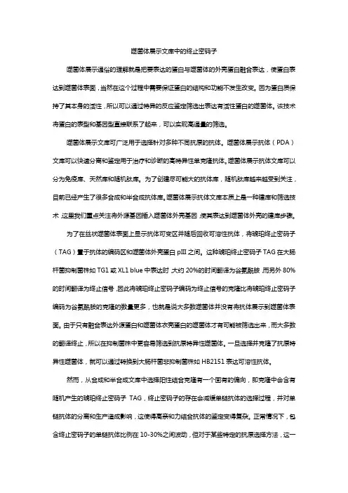 噬菌体展示文库中的终止密码子
