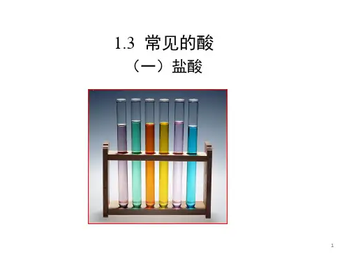浙教版九级上册-常见的酸演示PPT