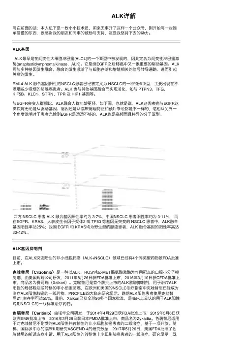 ALK详解——精选推荐