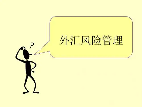 5外汇风险管理20100518