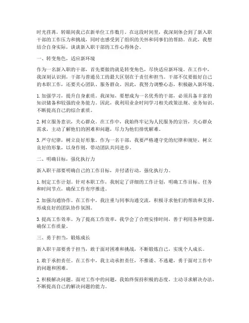 新入职干部工作心得体会