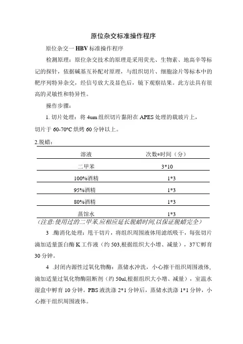 原位杂交标准操作程序