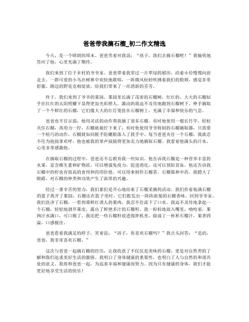 爸爸带我摘石榴_初二作文精选