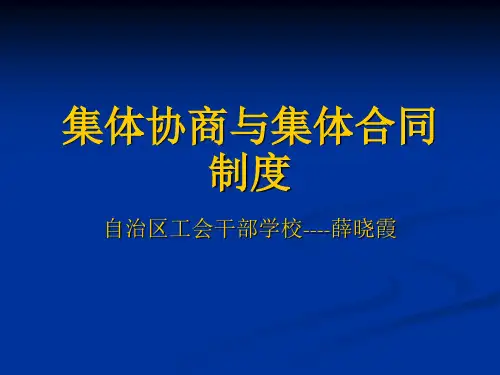 集体协商与集体合同制度
