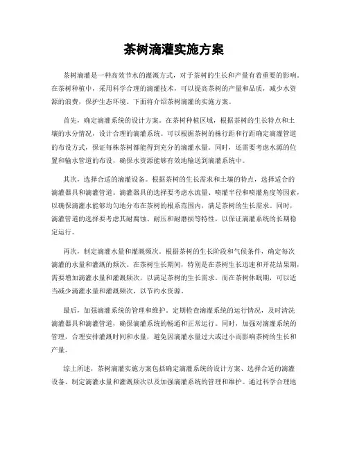 茶树滴灌实施方案