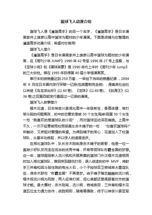 篮球飞人动漫介绍