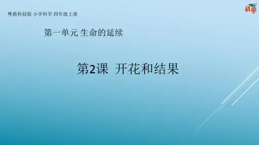 粤教版小学科学四年级上册第2课《开花和结果》教学课件